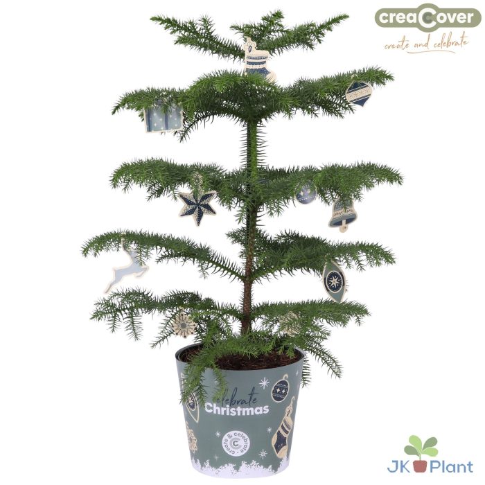 CreaCover Christmas, D 14