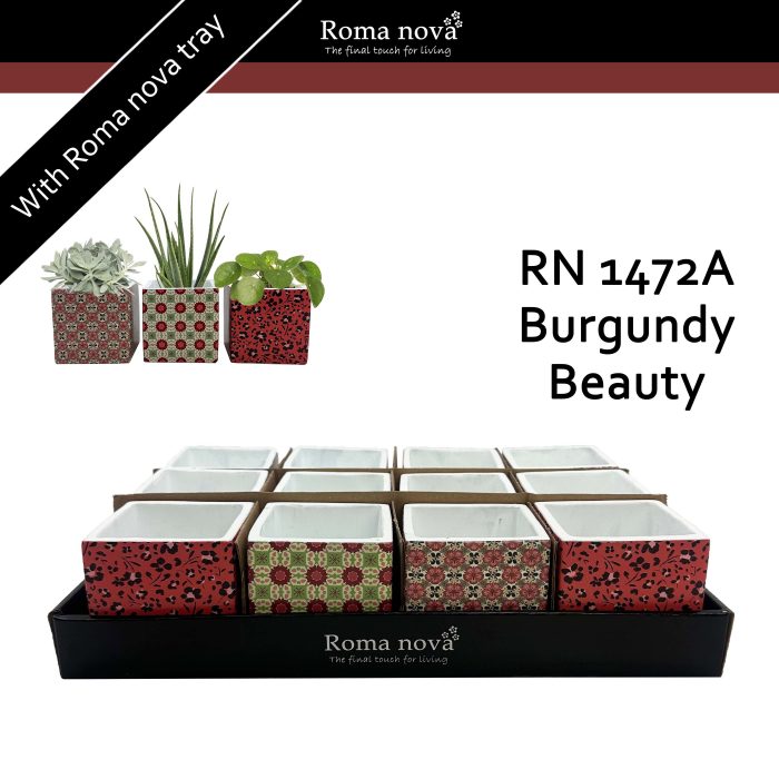 1472A - Burgundy Beauty (Hardware), D 8