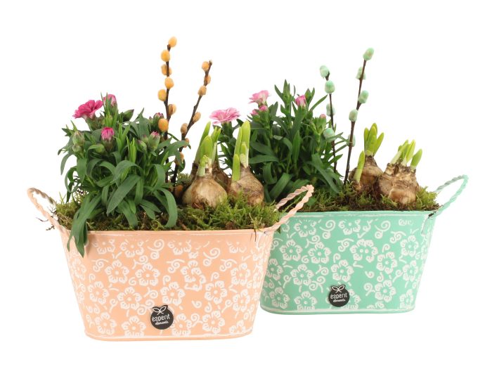 11644: Outdoor spring arrangement, D 19