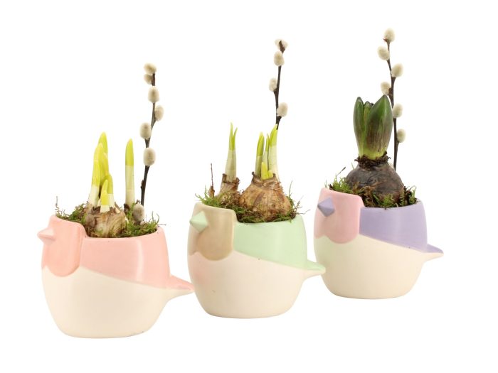 11649: Outdoor spring arrangement, D 9
