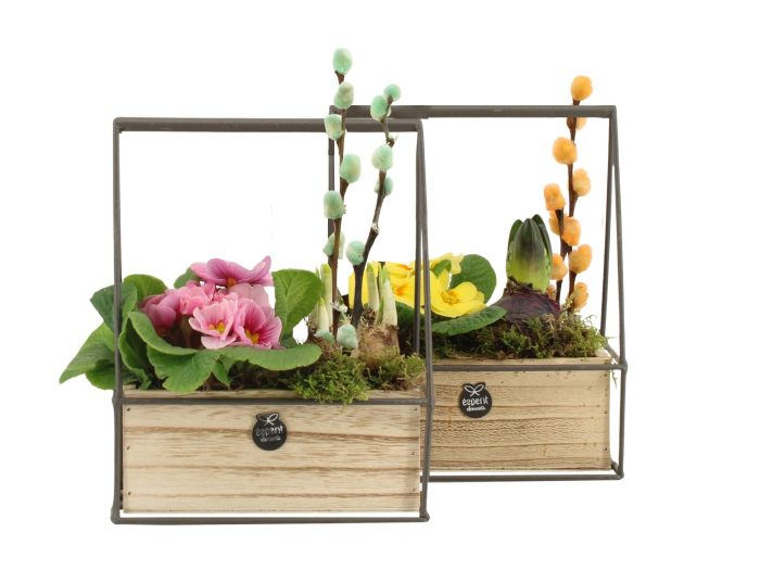11675: Outdoor spring arrangement, D 16