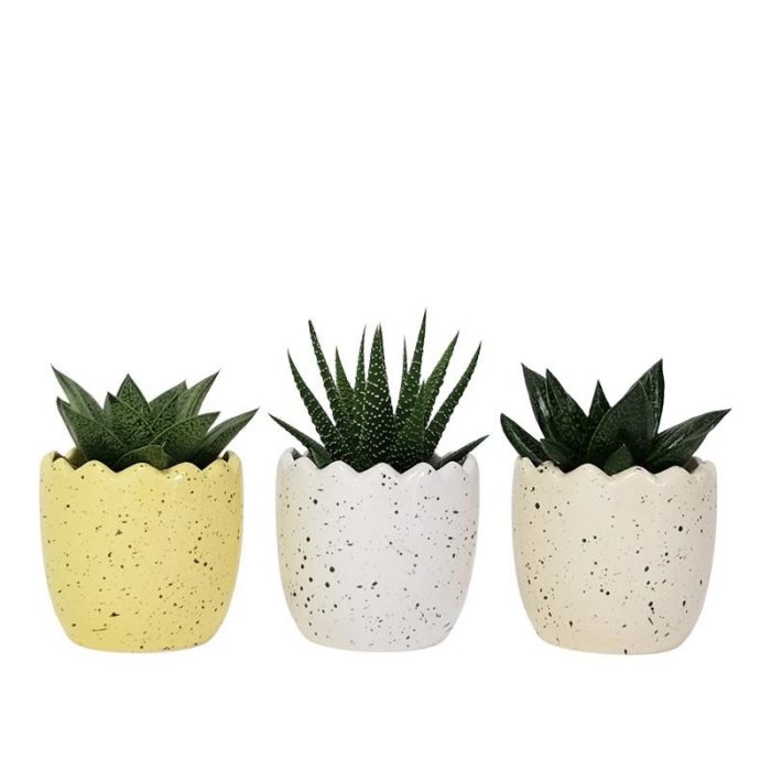 520653 Hatched EASTER CERAMIC, D 6