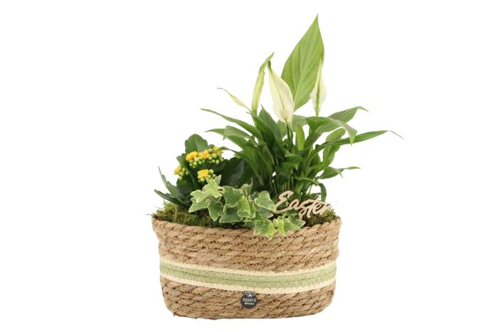 70837: Easter arrangement, D 23