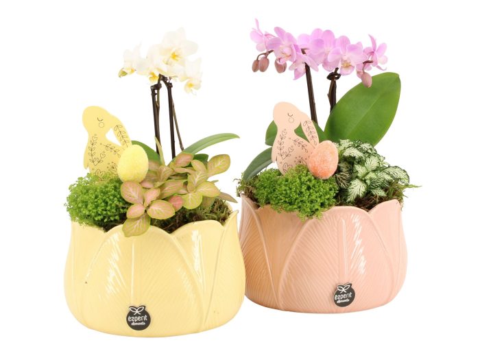 70848: Easter arrangement, D 16