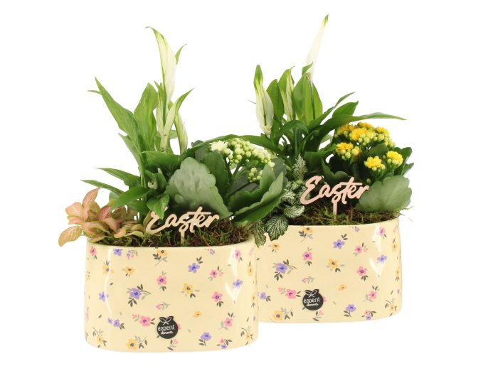 70883: Easter arrangement, D 17