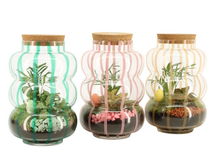 70916: Easter terrarium, D 17