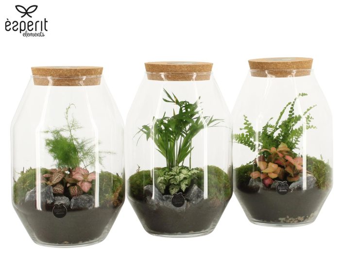 90450: Terrarium arrangement, D 17