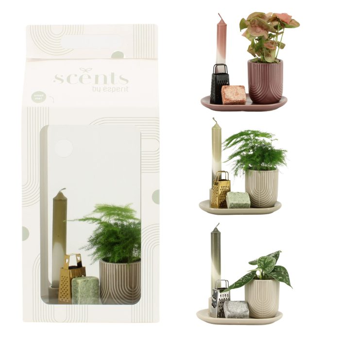 90710: Scents arrangement, D 18