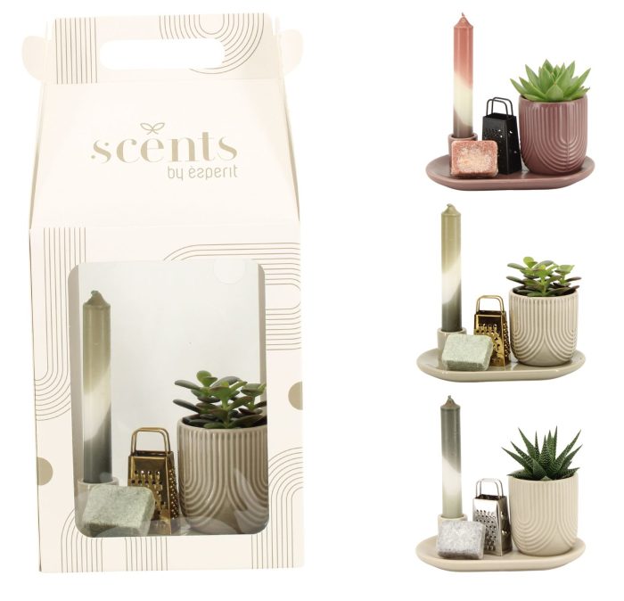 90757: Scents arrangement, D 18