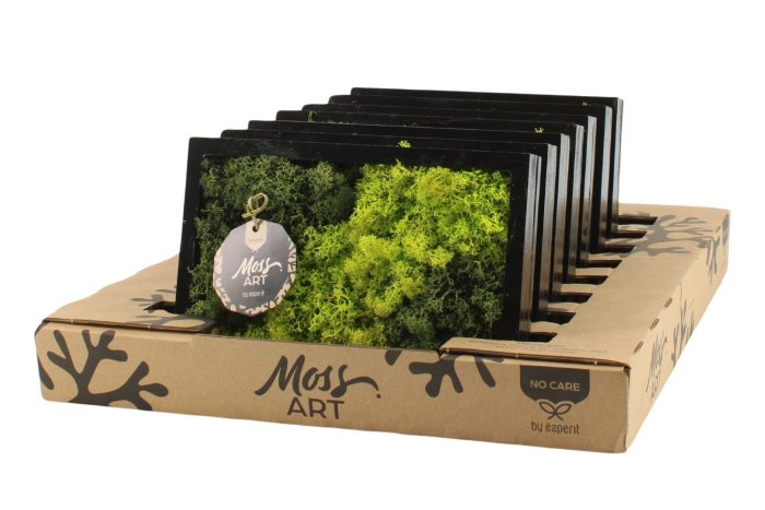 90930: Moss Art Rectangular D24, D 24