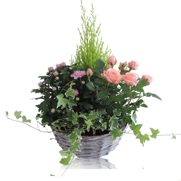 Arrangement in Mand Split Willow 29 cm, D 29