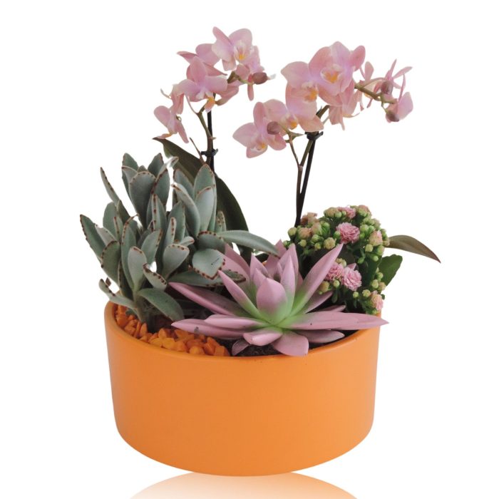 Arrangement Phalaenopsis 2 tak Keramiek schaal Mat Oranje 22 cm, D 22