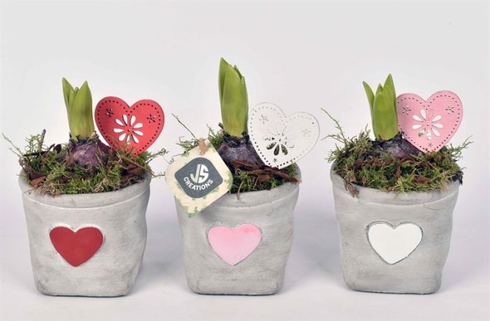 Cement potje met hart 11cm, D 10