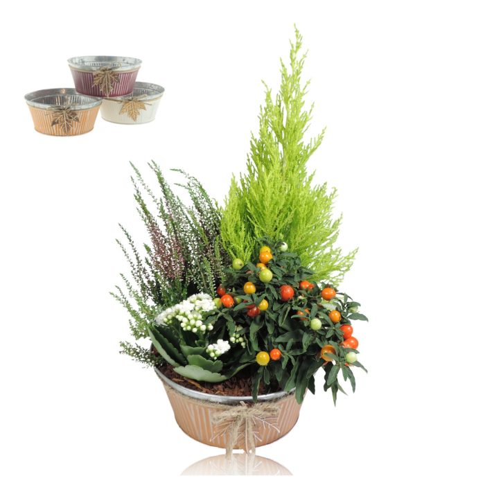 Collectie Autumn Leaf Arrangement in Zinken Schaal 21 cm, D 21