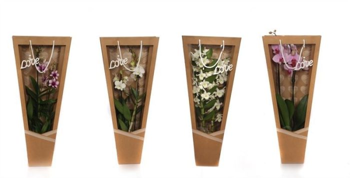 Draagtas heartbeat Orchideeen mix 2T, D 12