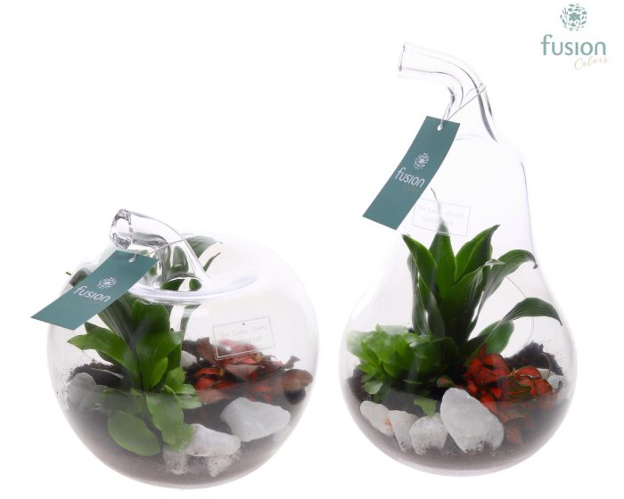 Glas Appel en Peer met Arrangement, D 18