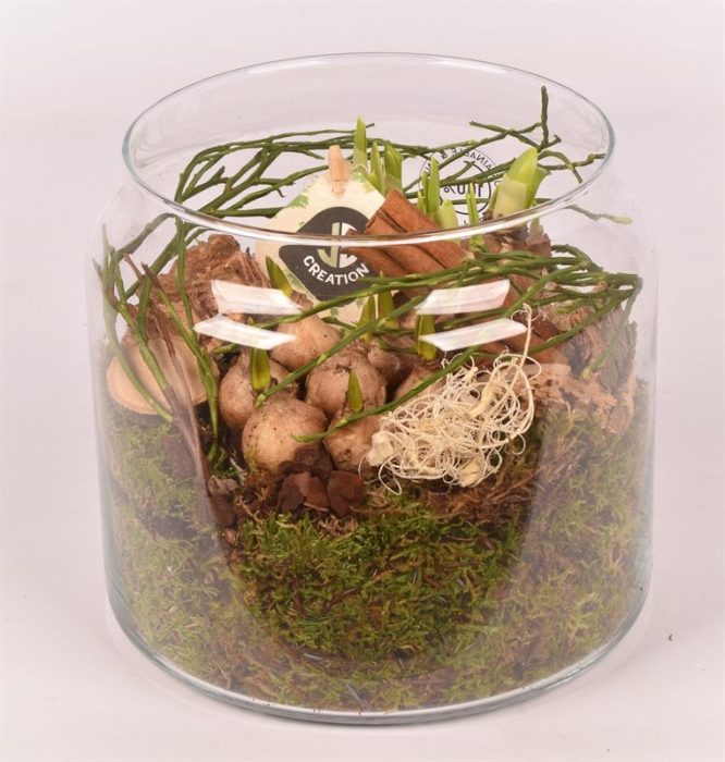 Glas cilinder 18cm, D 18