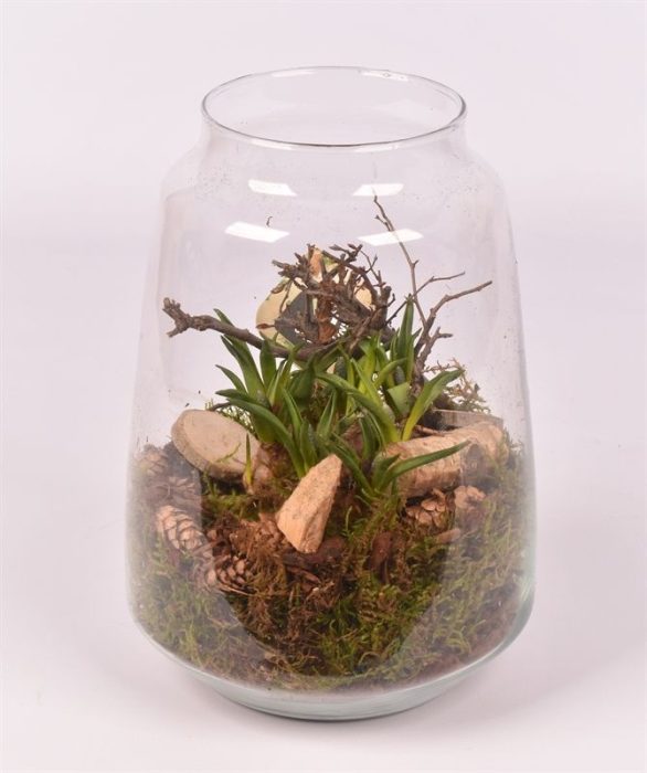 Glas cilinder Zef met hals 16cm, D 16