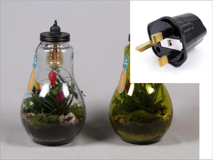 Glas Terrarium helder XXL Bromelia met verlichting en Engelse stekker, D 24