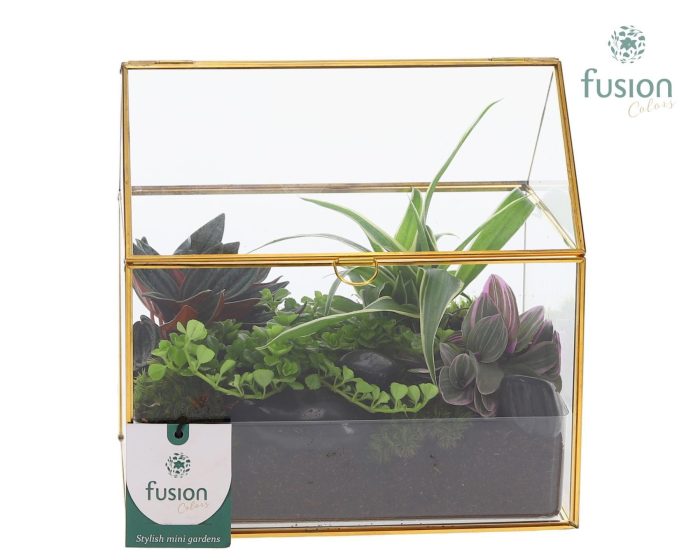 Glazen huis met arrangement, D 15
