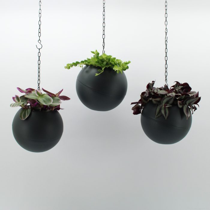 Globee Indoor Smit mix 2 135, D 20