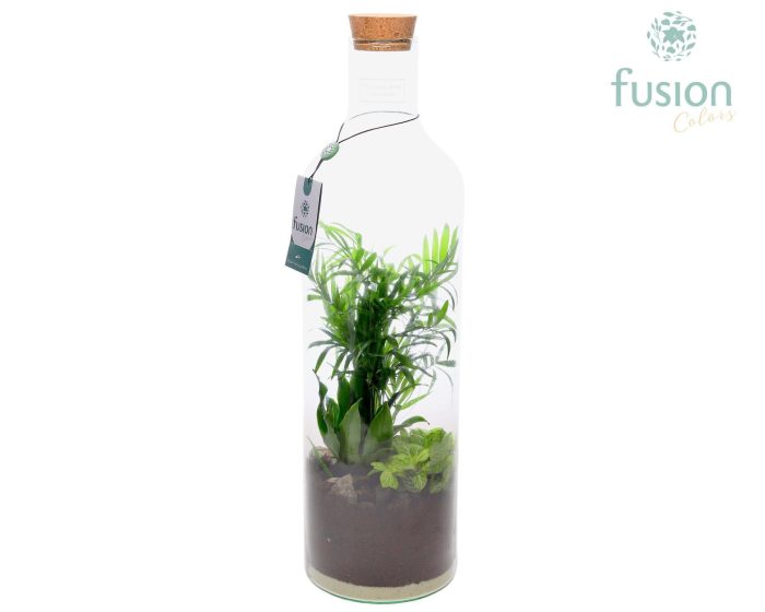 Green Bottle Fles Large met Arrangement, D 15