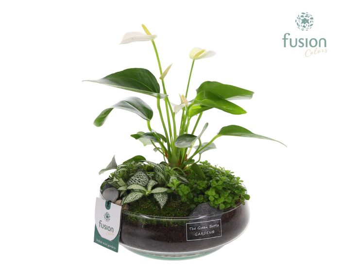 Green Bottle Iris Medium met Anthurium Arrangement, D 19