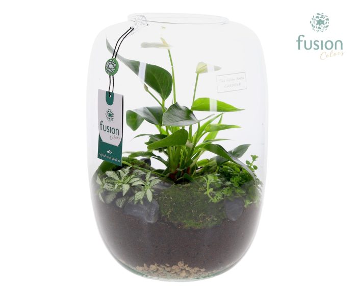 Green Bottle Isabella XLarge met Anthurium arrangement, D 25