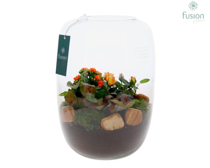 Green Bottle Isabella XLarge met arrangement, D 23