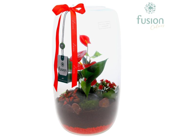 Green Bottle Isabella XXLarge Love met Anthurium, D 23
