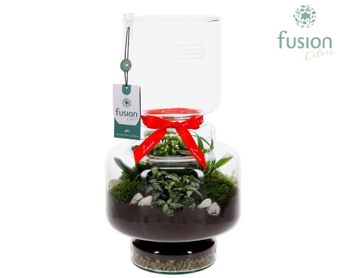 Green Bottle Lotte Large met Love arrangement, D 22