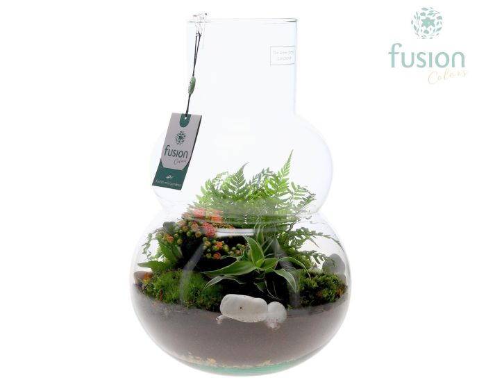 Green Bottle Olaf Large met arrangement, D 26