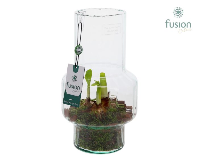 Green BottleMia Medium met Narcis, D 16