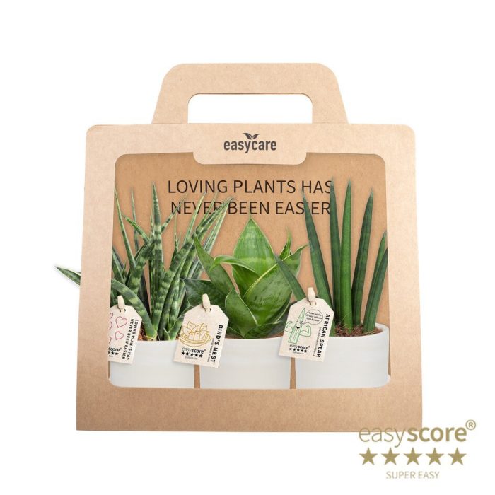 GREEN MIX 40690101 Raw 3-Pack, D 7