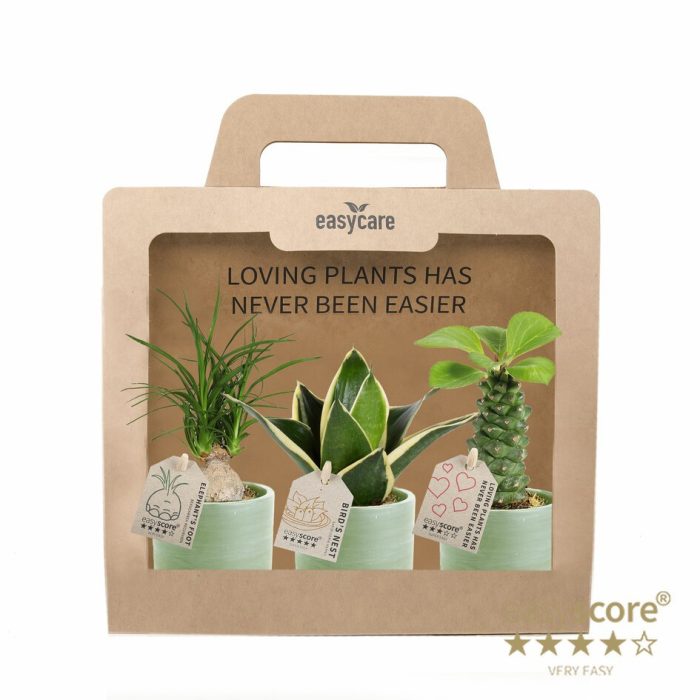 GREEN MIX 40690125 WB Green 3-pack, D 7