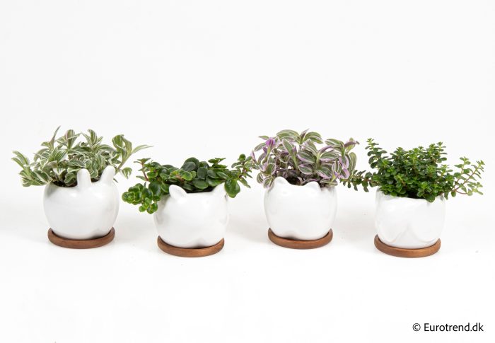 Green mix in New Look ceramic 2026, D 6