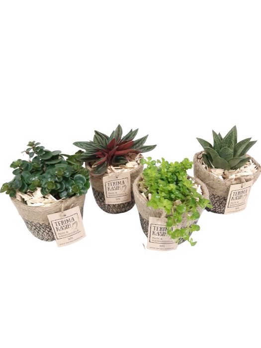 JM8GEM mini Jute Mandje mini succ.mix, D 8