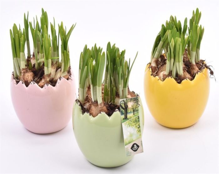 Keramiek ei kleur mix 10cm, D 10