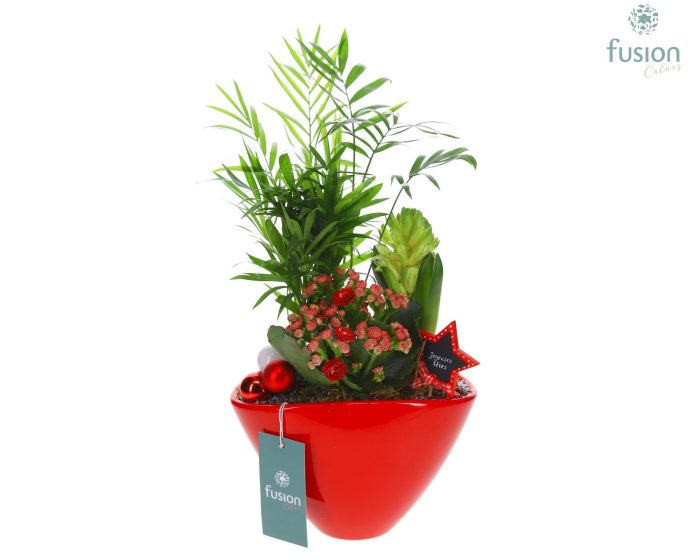 Keramiek ovaal Medium met Kerst Arrangement, D 23