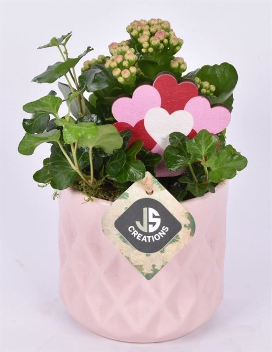 Keramiek ruit pot roze 10,5cm, D 11