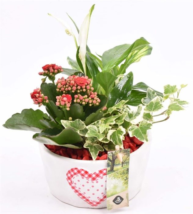 Keramiek schaal met hart 16cm, D 15