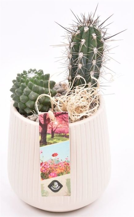 Keramiek vert.lines creme mat 12cm, D 12