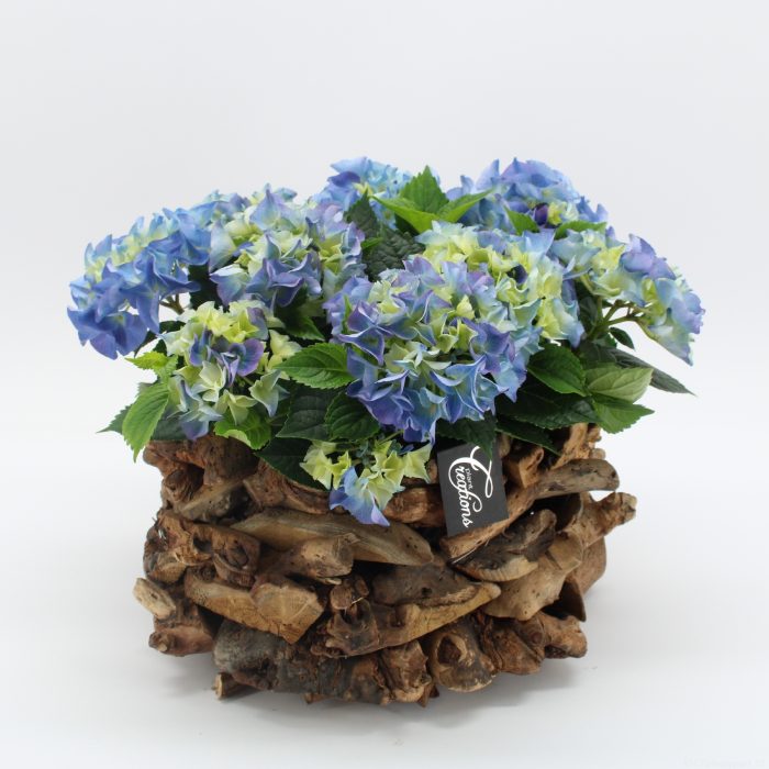 KHCR-2625B Hydrangea creatie, D 35