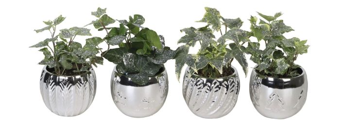 L 66426 With Hedera Helix Mix Glitter 6 cm, D 6