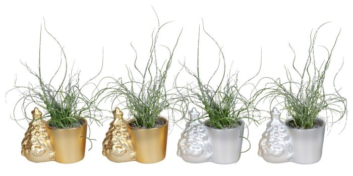 L 67096 With Juncus 'Spiralis' Glitter 6 cm, D 6