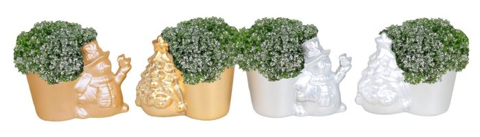 L 67439 With Selaginella Apoda Glitter 6 cm, D 6