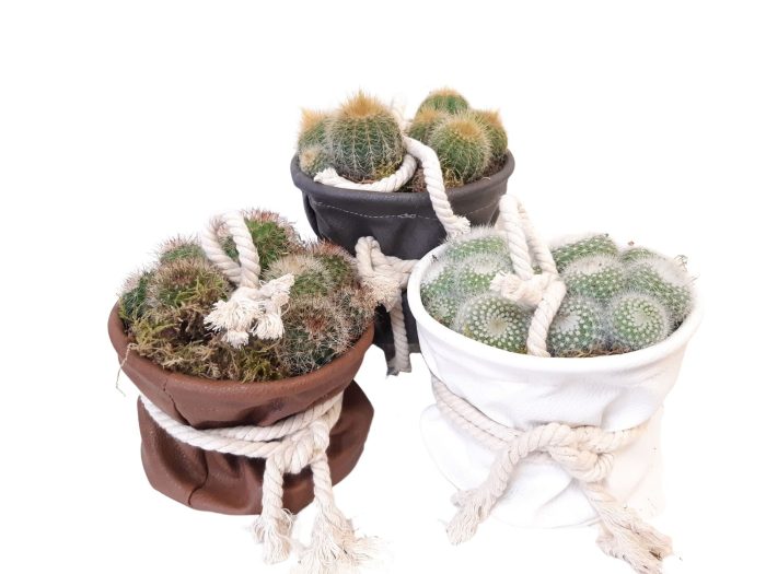LB14CTS Leather Bag D14 Cactusmix, cottonrope, D 14