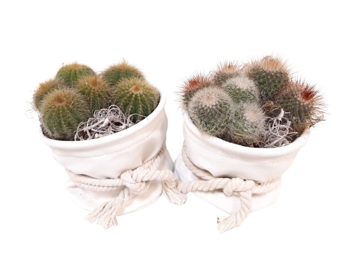 Leather Bag White + Cotton rope Cactus mix, D 14