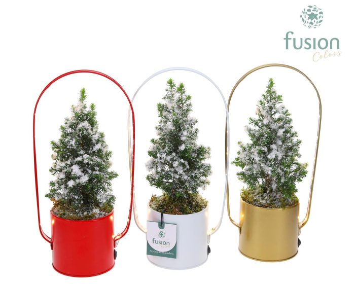 Led planter zink boog Kerst met Top Point, D 9