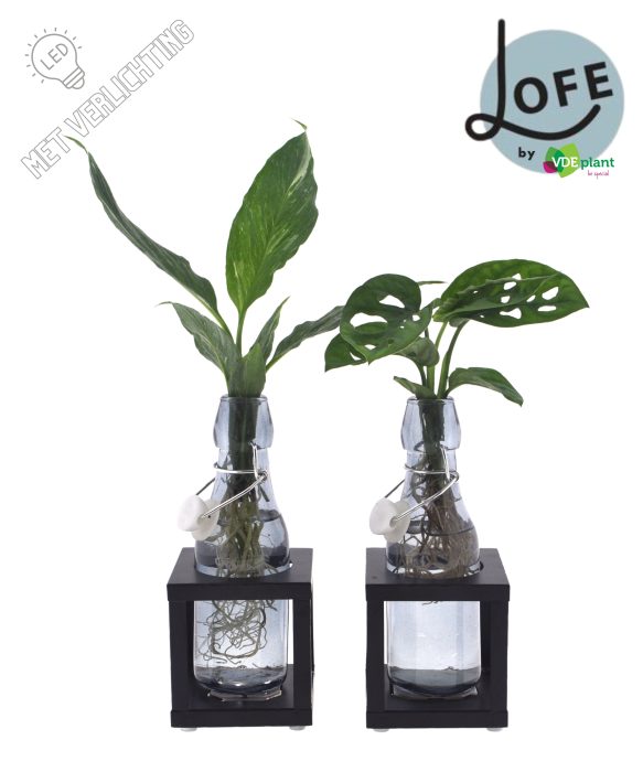 LOFE | Intenz mix in Ann getint glas + metalen houder + LED, D 7